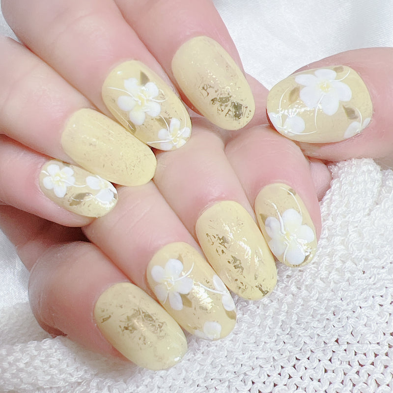 Pale Yellow Midsummer Night Flower Gift F03-19506 Flower Language