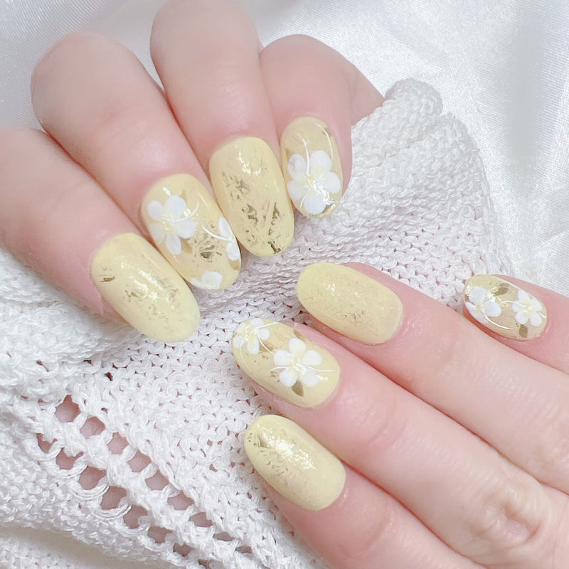 Pale Yellow Midsummer Night Flower Gift F03-19506 Flower Language