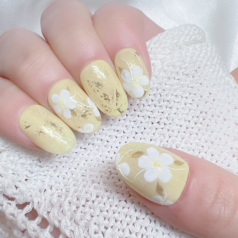 Pale Yellow Midsummer Night Flower Gift F03-19506 Flower Language